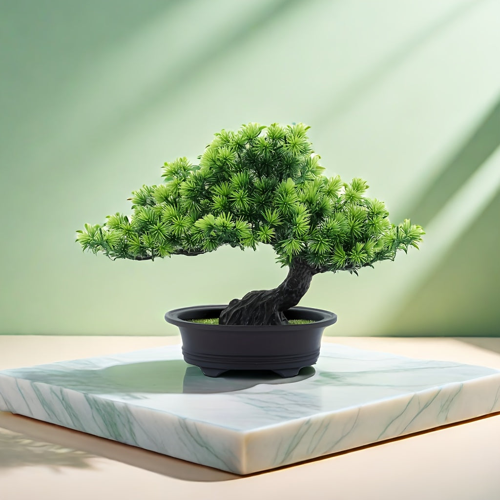 Lebenslange Bonsai-Pflanze für ein harmonisches Zuhause