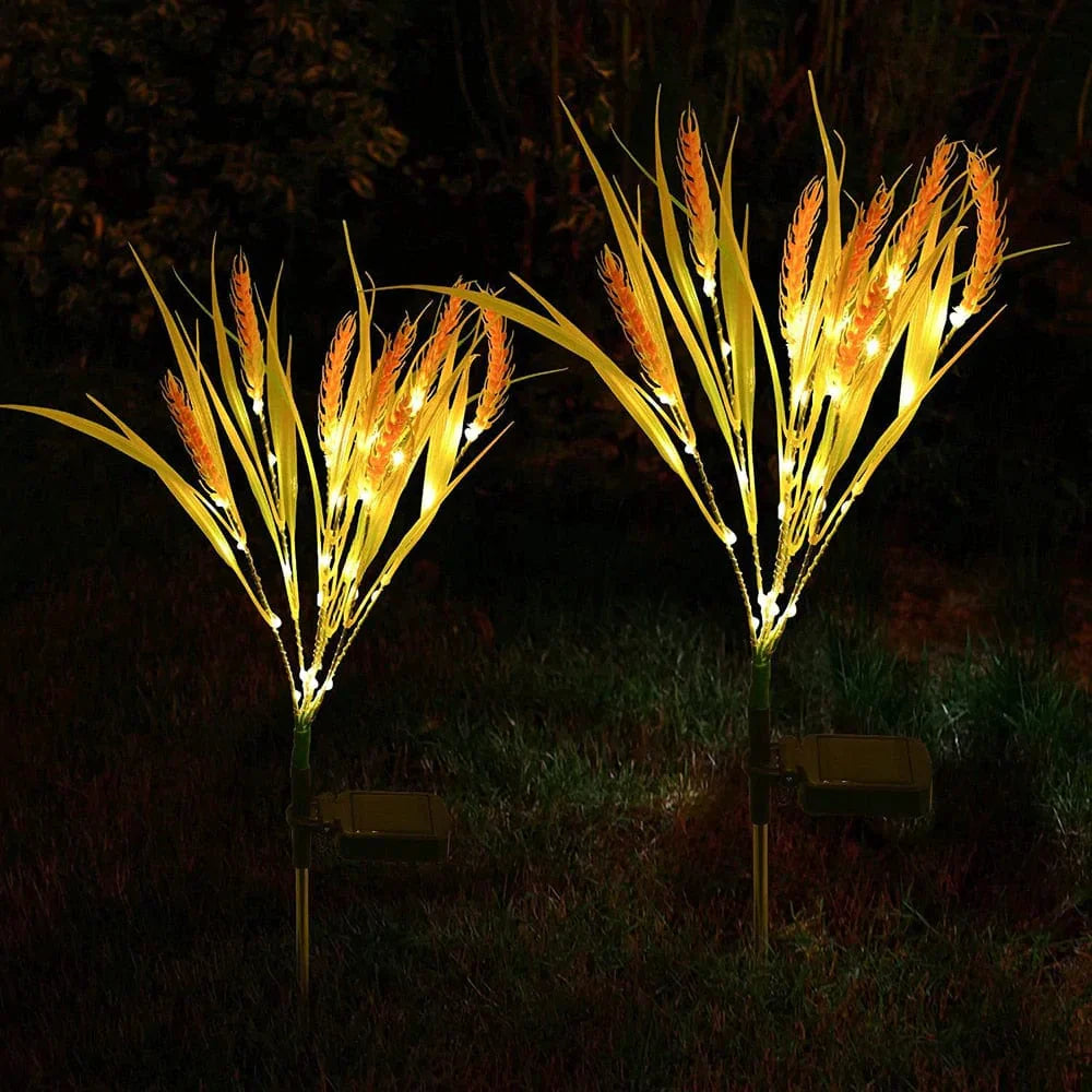 2er Set Solar-Weizenlichter für zauberhafte Gartenakzente