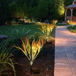 2er Set Solar-Weizenlichter für zauberhafte Gartenakzente