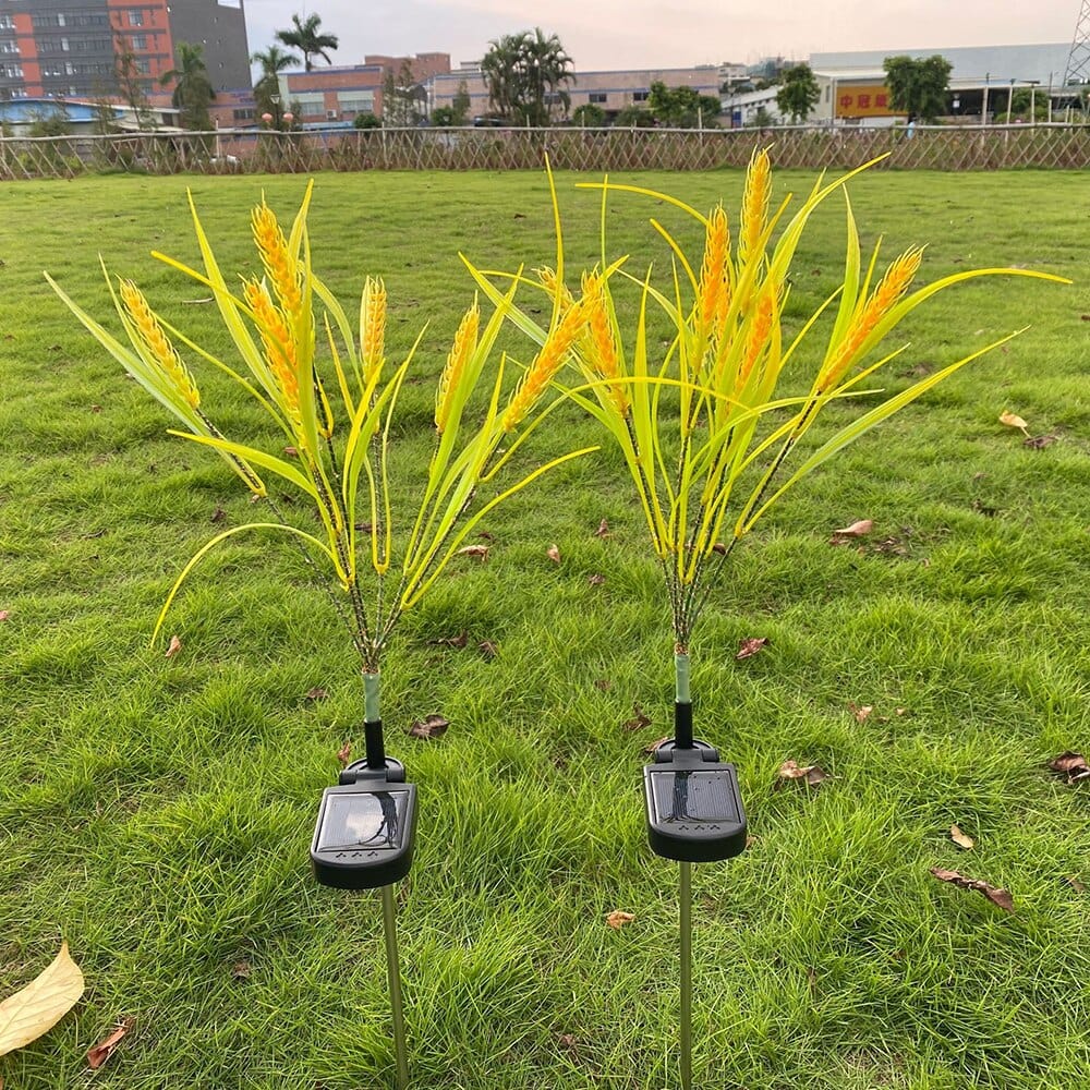 2er Set Solar-Weizenlichter für zauberhafte Gartenakzente