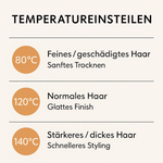 All-in-One Haartrockner und Glätteisen für perfektes Haarstyling