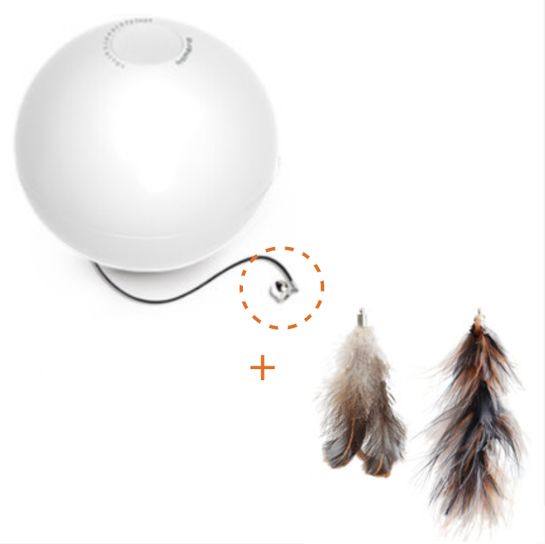 Interactive Cat Ball for Hours of Playtime Fun | 360° Laser & Bell