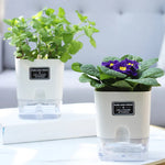 Water-Saving Plant Friend – Automatic Watering Made Easy