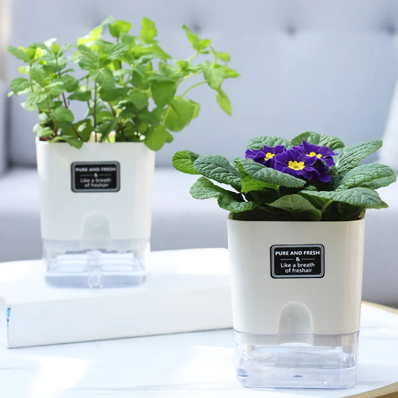 Water-Saving Plant Friend – Automatic Watering Made Easy