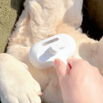 Dampf-Bürste für Hunde – Sanfte Pflege für jedes Fell
