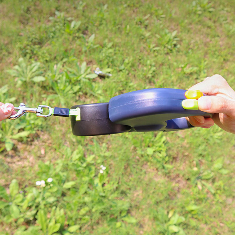 Safe and Stress-Free Walk with the New Dog Leash
