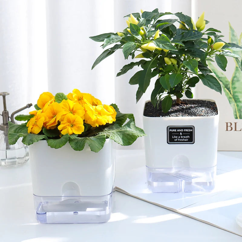 Water-Saving Plant Friend – Automatic Watering Made Easy