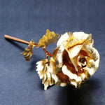 Ewige Goldrose mit Geschenkbox | Goldene Eleganz