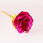 Ewige Goldblüte | 24K Gold-Rosen für besondere Anlässe