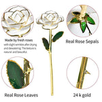 Ewige Blüte | 24k Goldüberzogene Rose
