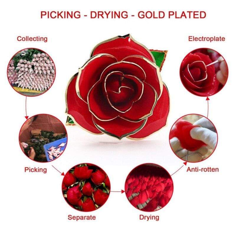 Ewige Blüte | 24k Goldüberzogene Rose