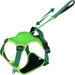 FlexiLeash | All-in-One Hundegeschirr mit einziehbarer Leine