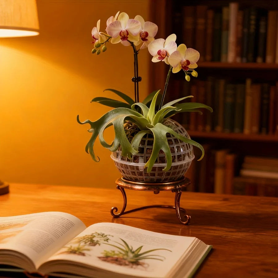 MossHarmony Hanging Planter Ball | Plastic with Drainage Holes | Ideal for Orchids and Ferns | Indoor and Outdoor Use