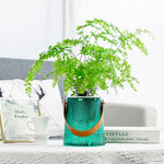 HydroSmart Pot – Worry-free plant care for your home