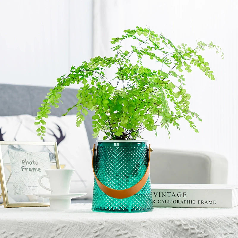 HydroSmart Pot – Worry-free plant care for your home