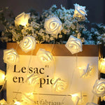 Romantic LED Rose Blossom Fairy Lights | 10/20 Warm White Lights | Cordless for Weddings and Decoration