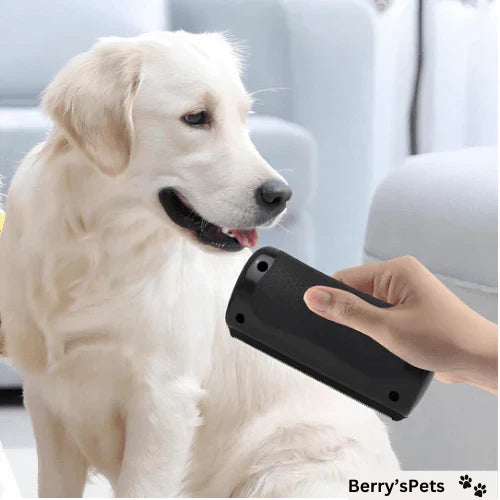 Hair-Free Home - The Perfect Brush for Pet Owners