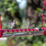 Kolibri-Futterspender für den Garten – HummingNest