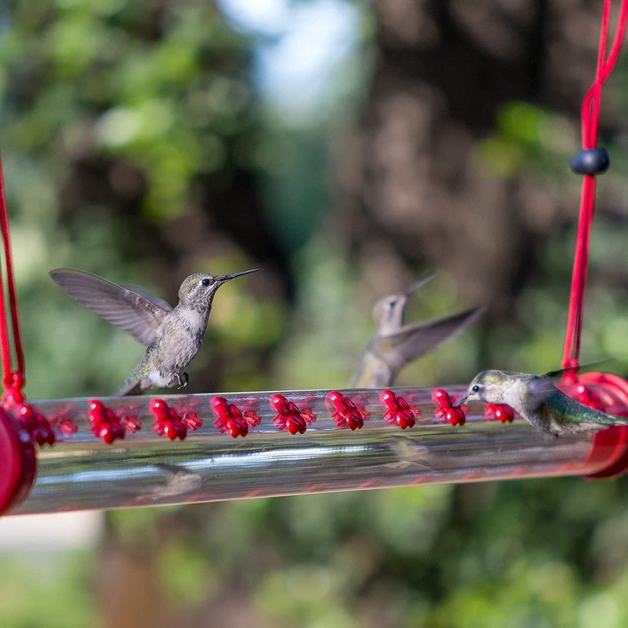 Kolibri-Futterspender für den Garten – HummingNest