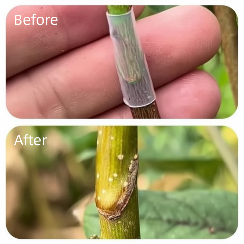 SuccessCover – Fast and reliable refinement solutions for your plants