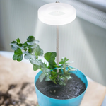 LumosPro – Promote your plants' growth all year round