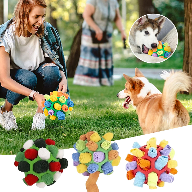 SnuffelBall | Interaktives Spielzeug für Hunde