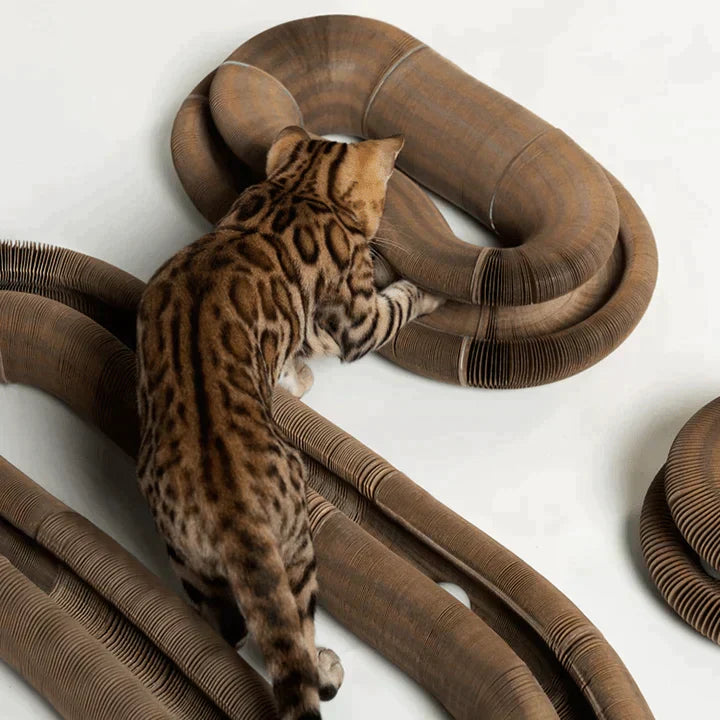 Katzenspielzeug - Interaktives Spielzeug für Katzen