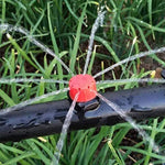 AquaFlow Bewässerungssystem mit Sprinkler und Tropfer für Pflanzen