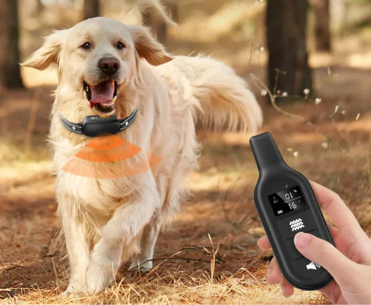 Hundetrainer Pro Trainingshalsband – Wasserfestes Elektronik-Halsband mit Fernbedienung