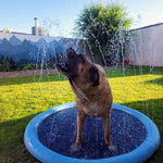 Splash Fun for Pets | Refreshment for Every Day!