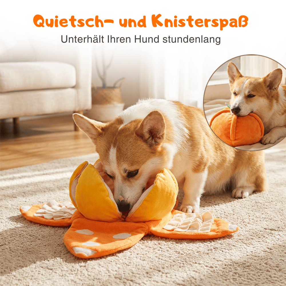Interaktives Plüschspielzeug für Hunde – Versteckspiel für Leckerlis