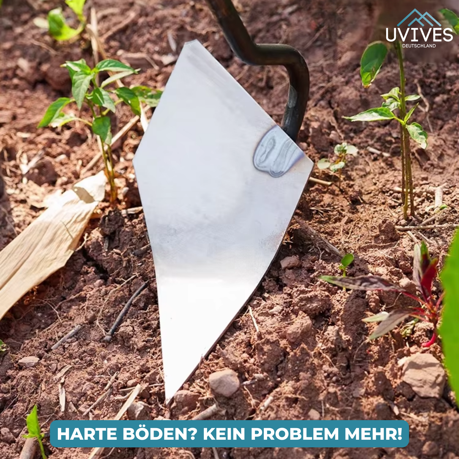 Efficient Garden Care with a Robust Stainless Steel Hoe
