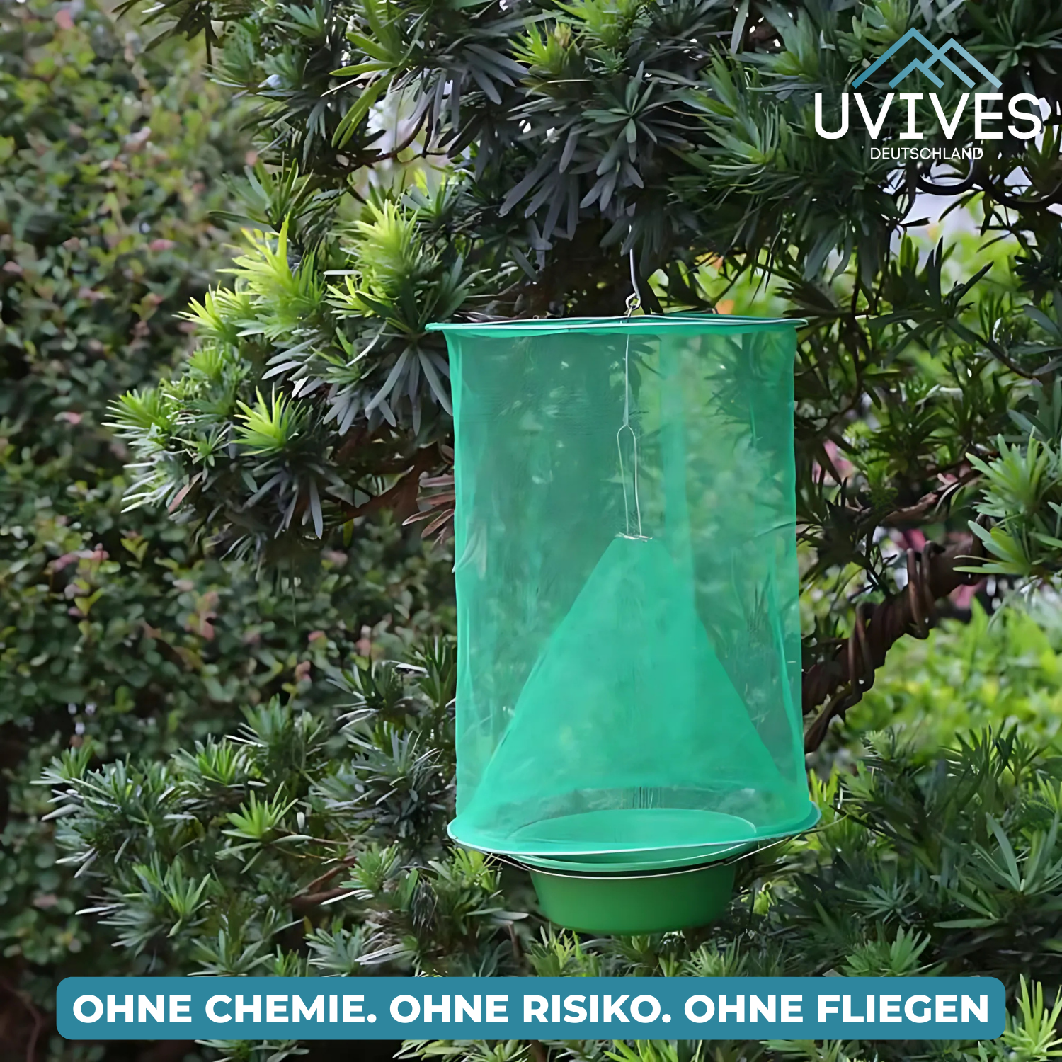 Insect Traps – Your reliable protection against flies