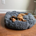 Beruhigendes Hundebett für entspannte Nächte