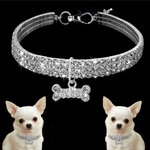 Glitzernde Hundefreundschaft: Stilvolles Halsband