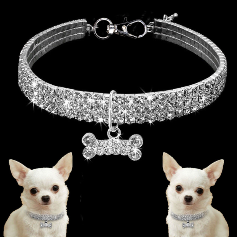 Glitzernde Hundefreundschaft: Stilvolles Halsband