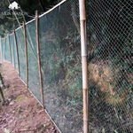 NaturGuard Plant Netting | Customizable & Weatherproof | All-Round Protection for Your Garden