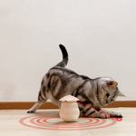 FelineFun | Automatisches Laser-Katzenangelspielzeug