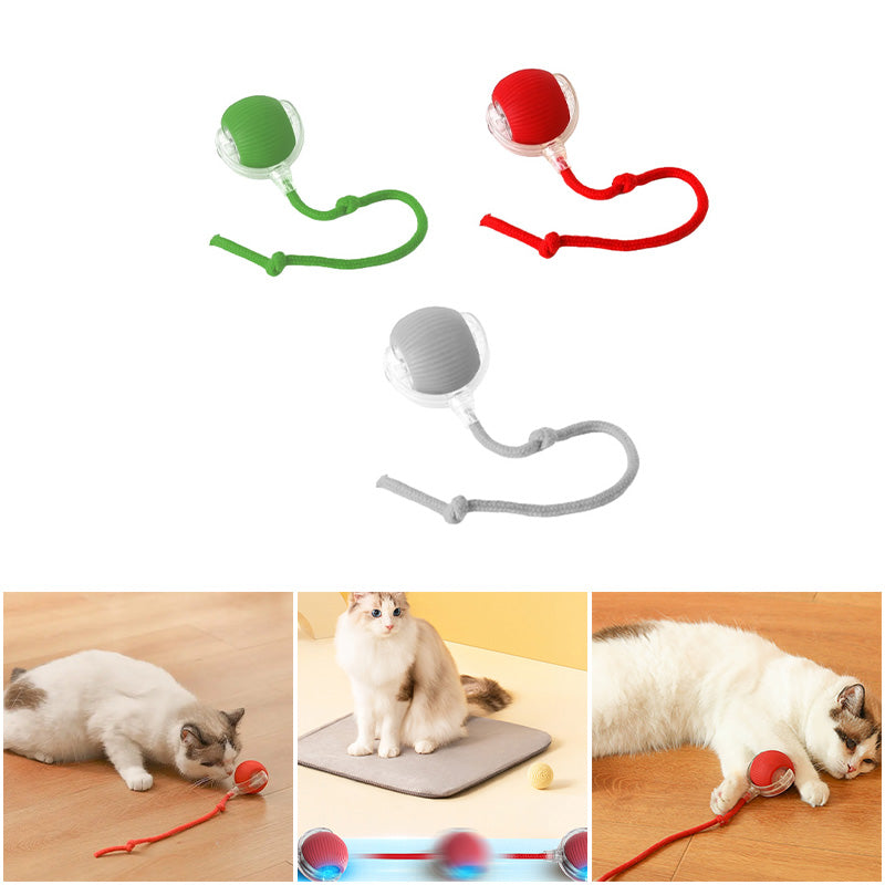 Interaktiver Spielball für Katzen – Spaß und Bewegung für drinnen