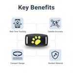 Intelligentes Katzenhalsband mit GPS-Tracking – Immer im Blick