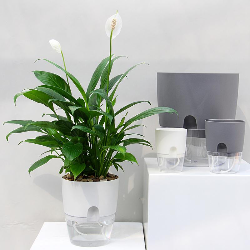 Automatischer Blumentopf – Nie wieder austrocknen