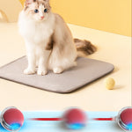 Interaktiver Spielball für Katzen – Spaß und Bewegung für drinnen