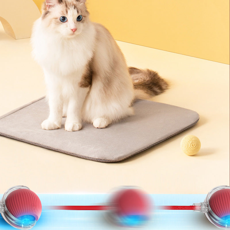 Interaktiver Spielball für Katzen – Spaß und Bewegung für drinnen