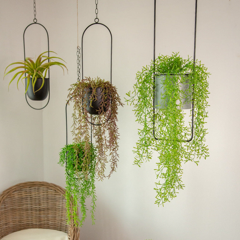 Stylischer Hängender Blumentopf für Ihr Zuhause