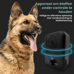 HundeHarmony Noise-Free Anti-Bark System | Create a Peaceful Atmosphere