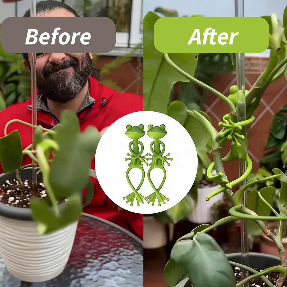 Frog Design Plant Supports – Stability with Charm