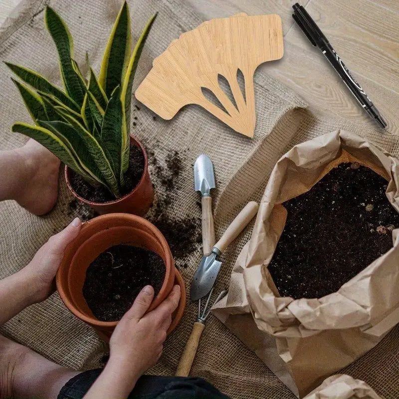 Plant care made easy with flexible wooden markers