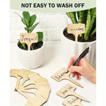 Plant care made easy with flexible wooden markers
