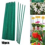 BambooPro Plant Supports 40 cm | Set of 10 | Green | Stability for Your Garden