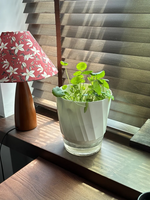AquaCare Self-Watering Planter | Transparent Dual System | Automatic Water Supply